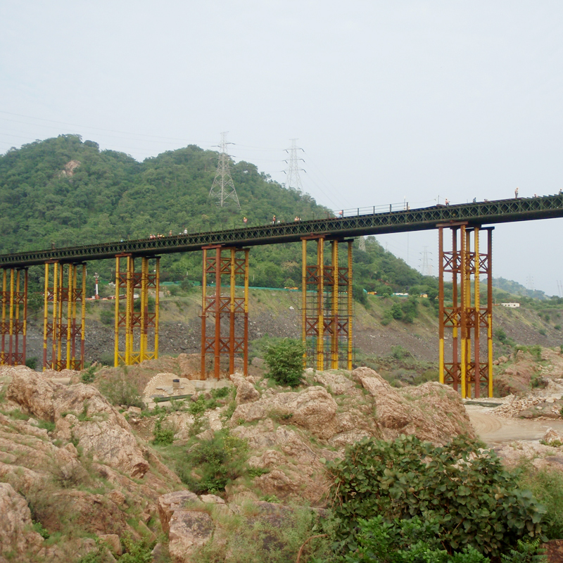 Professional manufacturer prefabricated building steel structure bridge/pedestrian bridge